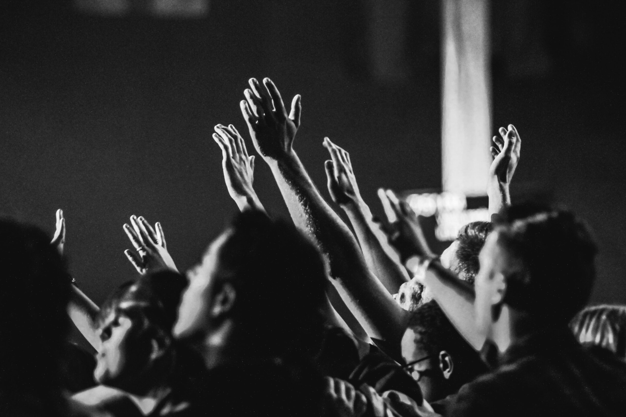 adult-audience-black-and-white-1666816